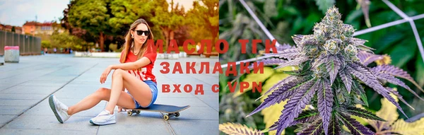 шишки Алзамай