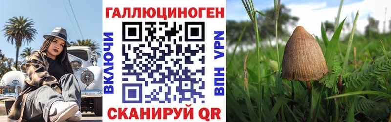 сколько стоит  Покачи  Галлюциногенные грибы Cubensis 